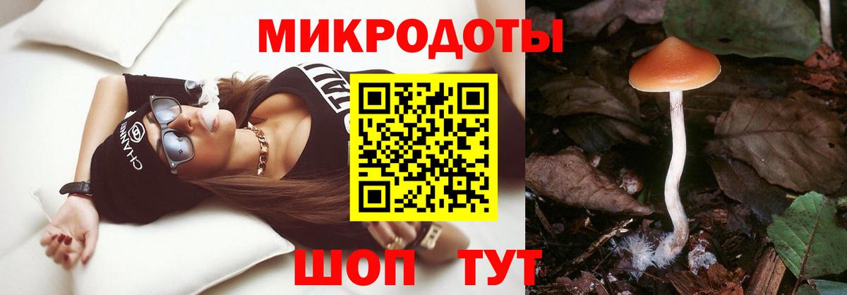 Псилоцибиновые грибы Psilocybe Елизово